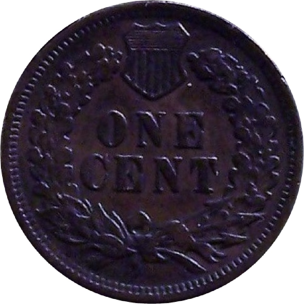 1905-Indian-Head-Cent-#2